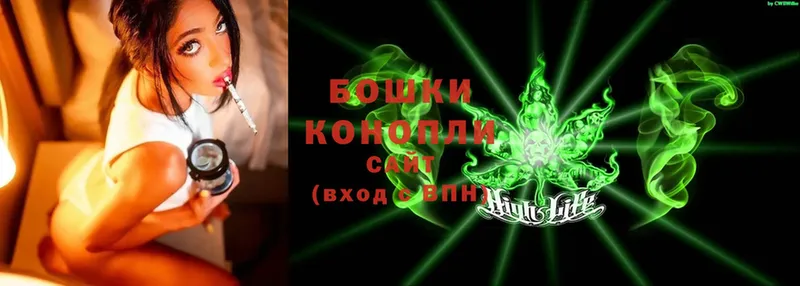 купить закладку  Верхотурье  Бошки Шишки Ganja 